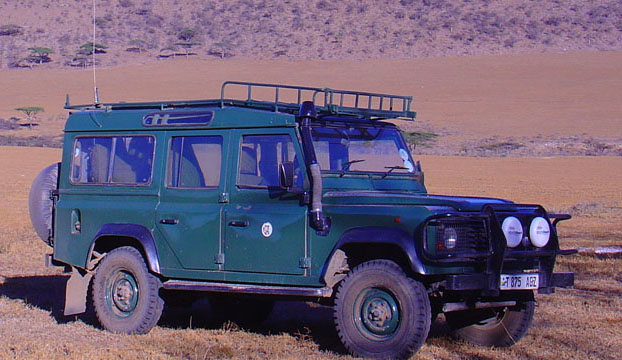 serengeti migration text image 2